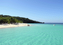 roatan_beach_36.gif
