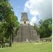 tikal002