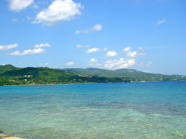 DSC07324