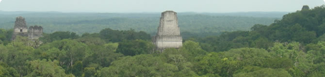 Tikal Tour One Day